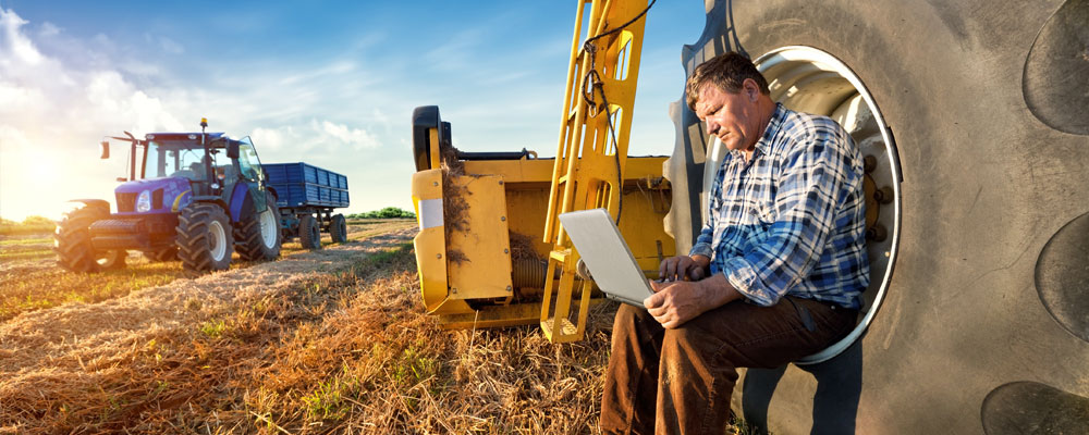 Farmer counts yields on a computer